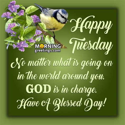 Whether you need a little pick-me-up, or just some words of encouragement, these blessed Tuesday quotes are here to inspire you. 1. “Tuesday isn’t so bad… it’s a …